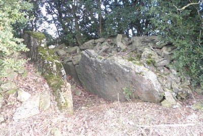 La Vaissière 12490 dolmen des Tourelles 1