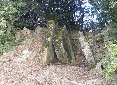 La Vaissière 12490 dolmen des Tourelles 2